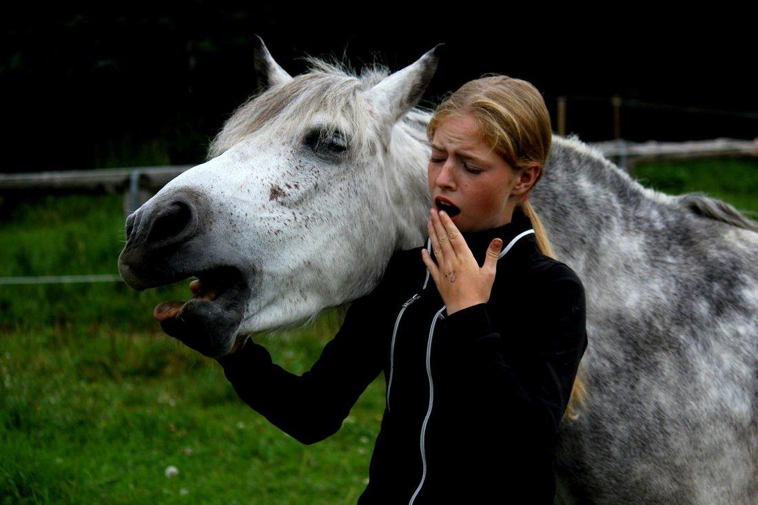 Anden særlig race Tøsen DreamTeam - Gaaab......
:* billede 2