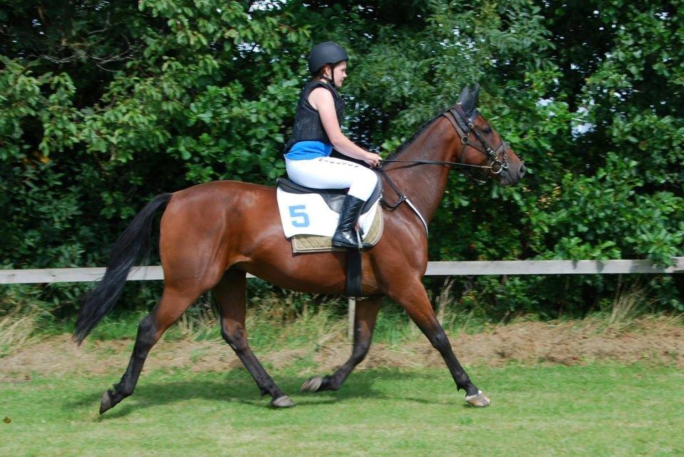 Traver Lotus B - opvarmning til løb med hans søde jockey Sabina  billede 2