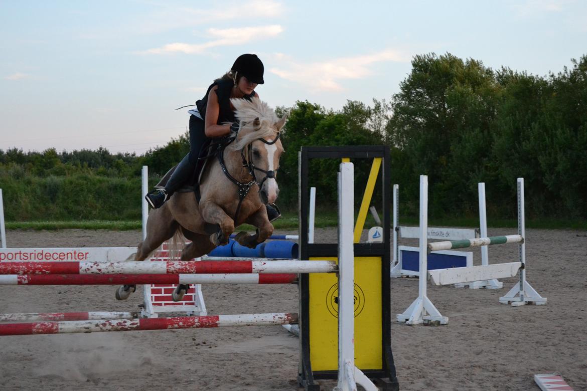 Anden særlig race Silver<3. - Min skat<3 billede 14