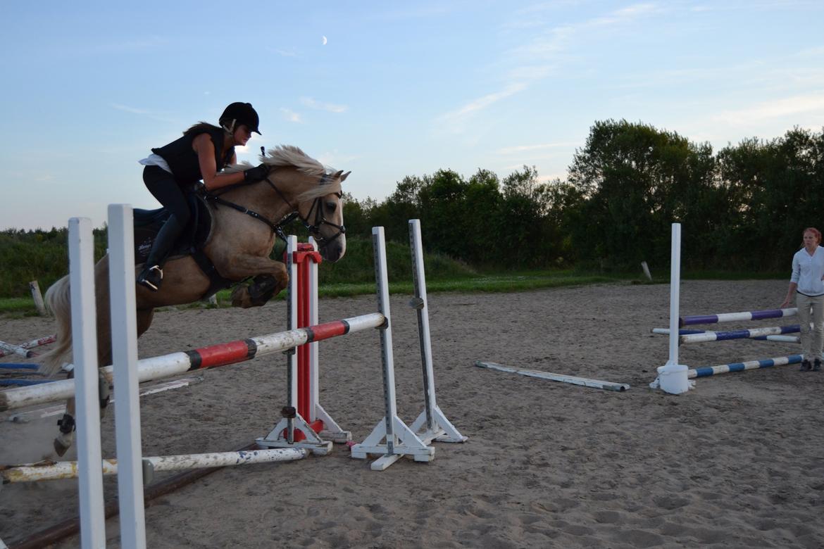 Anden særlig race Silver<3. - 130 <3<3 billede 15