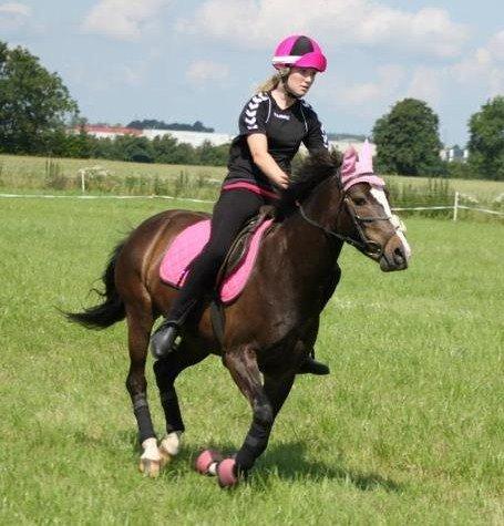 DSP Fredbo´s Image - Par stævne 2012 billede 19