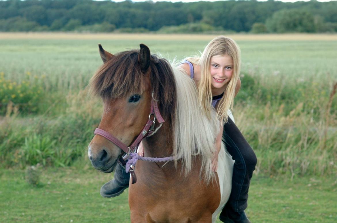 Islænder vera billede 1