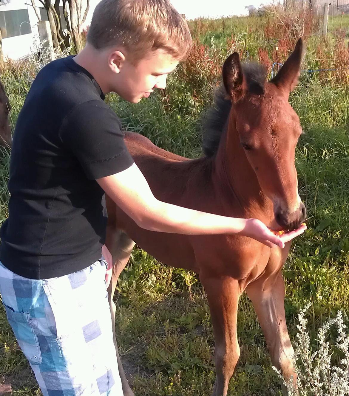 Anden særlig race Abbygail billede 13