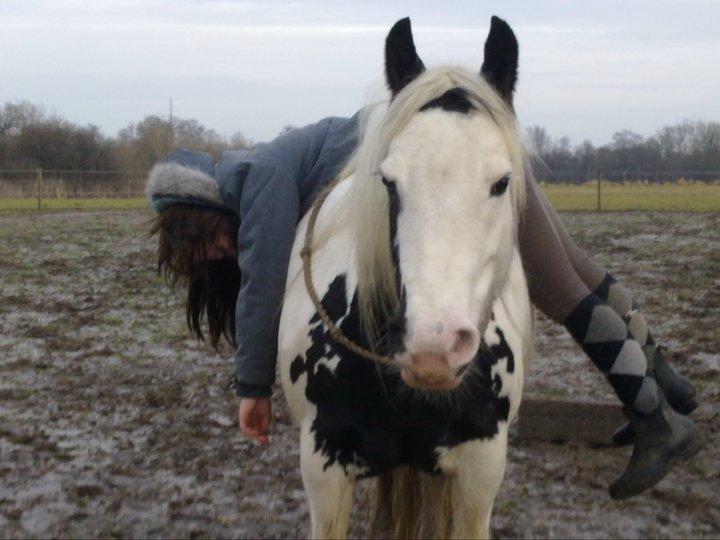 Tinker Nikitta <3 billede 17