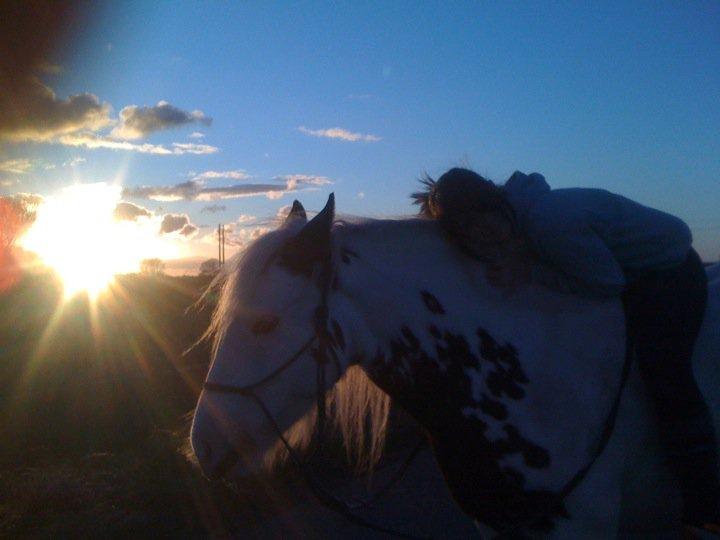 Tinker Nikitta <3 - Der er virkelig ingen som dig! du er en helt igennem perfekt hest for mig <3
Looooove you <3 billede 1