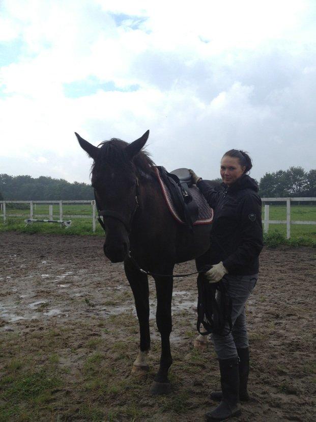 Anden særlig race Colardo billede 16