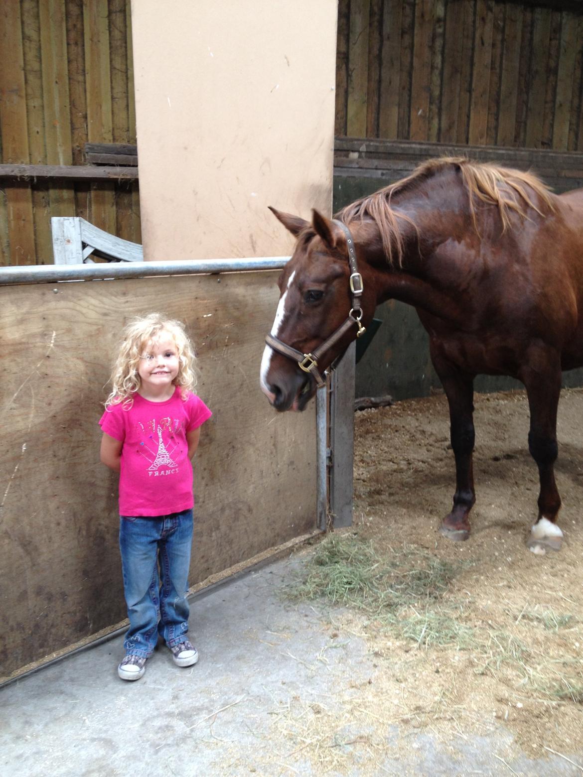 Anden særlig race Chanel billede 16