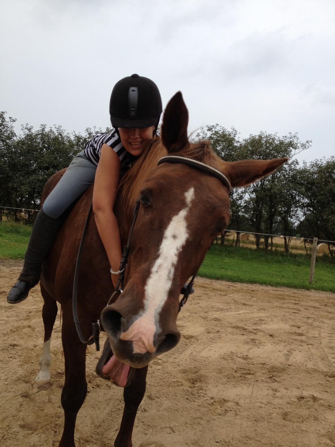 Anden særlig race Chanel billede 17