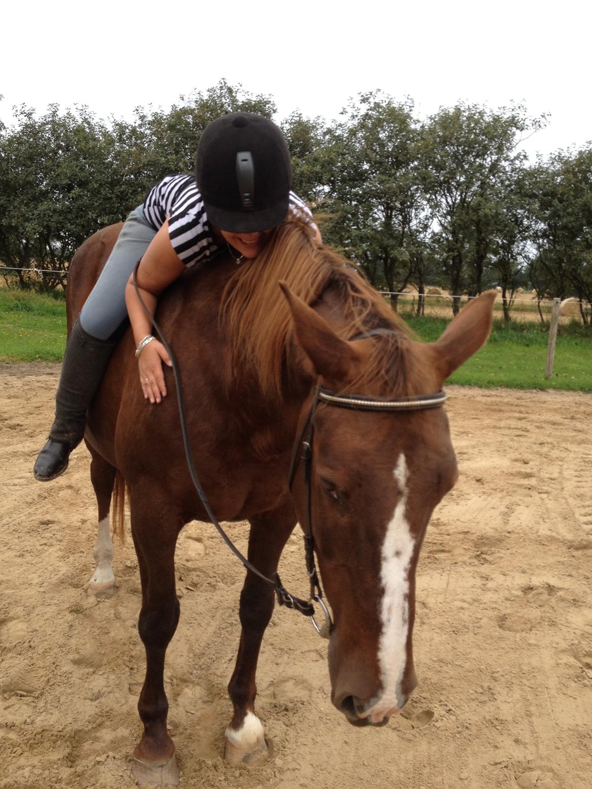 Anden særlig race Chanel billede 18