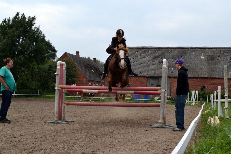 Anden særlig race Poffi ( verdens sødeste pony ) - Velkommen til Poffis profil. billede 1