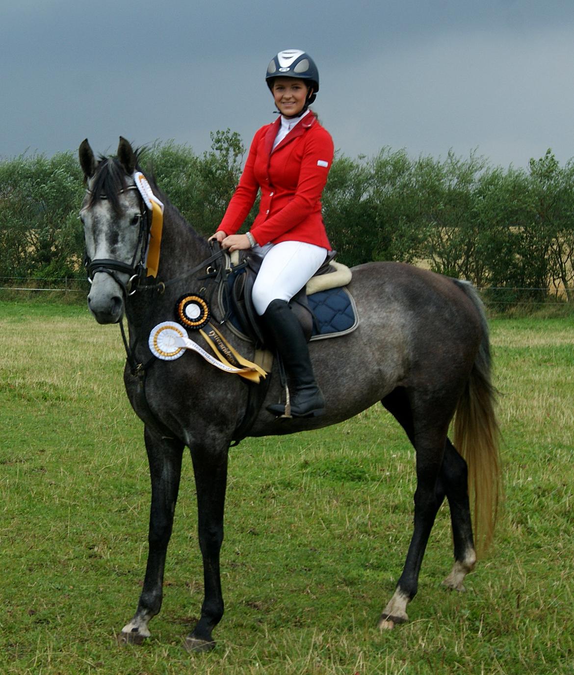 Dansk Varmblod Amona - Amona & jeg til stævne! 3 fine nul runder!<3  billede 11