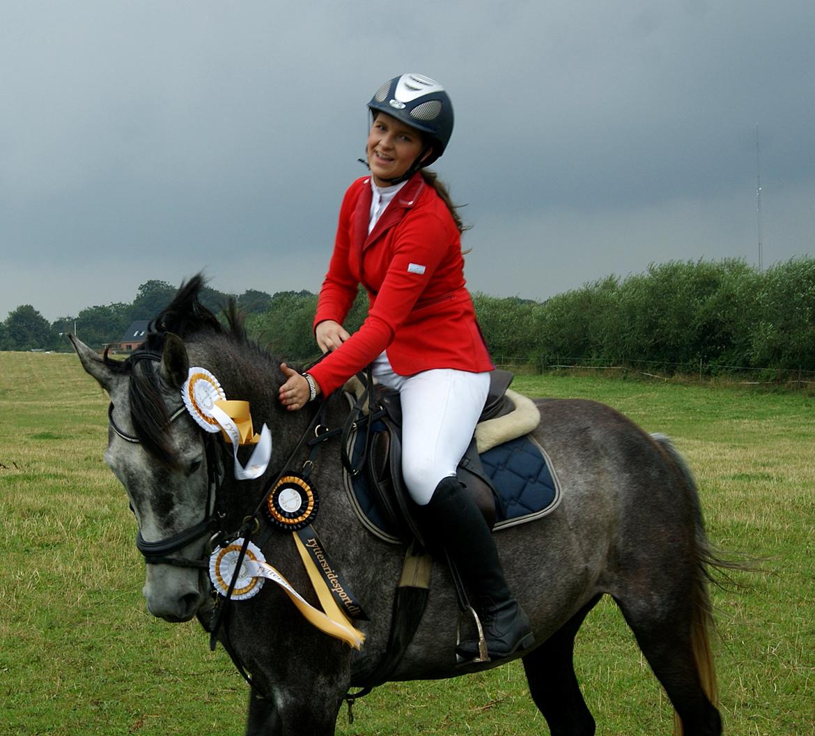 Dansk Varmblod Amona - Dygtig hest!!<3  billede 14