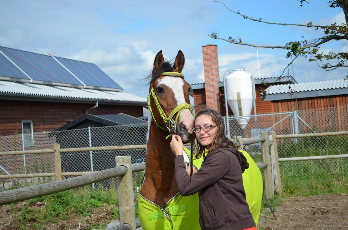 Anden særlig race Marry Poppins billede 18