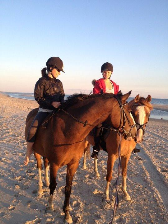 DSP Wissinggaards Dornik Special<3 - På stranden! Han tog det bare så fint!:-D billede 8