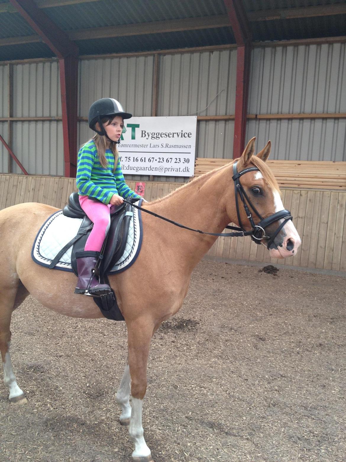 DSP Wissinggaards Dornik Special<3 - Thea på 7/8 år der er oppe og ride Dornik(-: billede 17