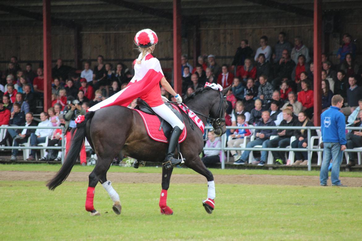 DSP Sputnik Lerkær - DSP-Show Landsskuet Herning
"Roligans" billede 18