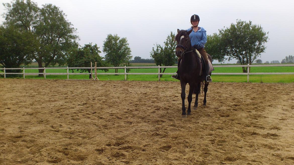 Anden særlig race Prins Charming *Har redet* billede 4