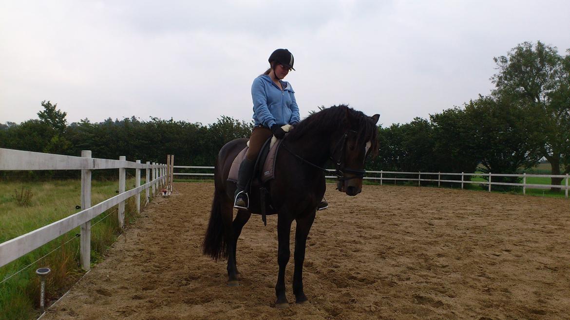 Anden særlig race Prins Charming *Har redet* billede 2