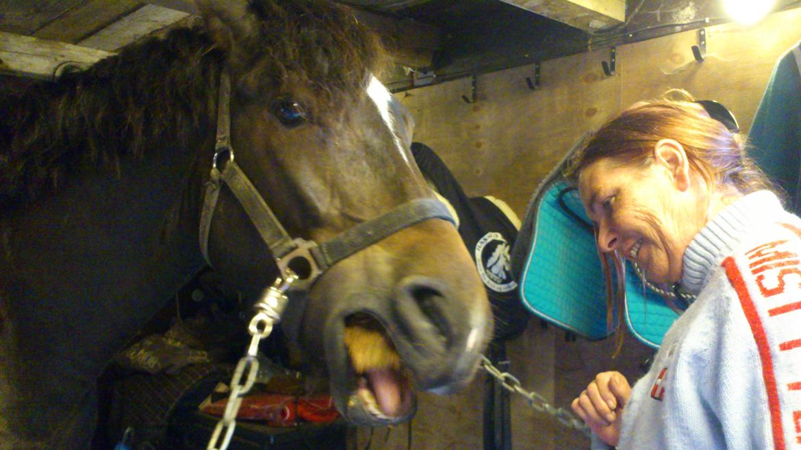 Anden særlig race Prins Charming *Har redet* billede 7