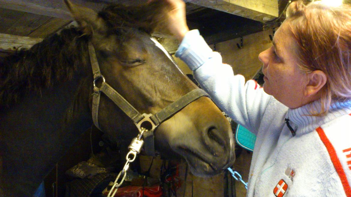 Anden særlig race Prins Charming *Har redet* billede 8