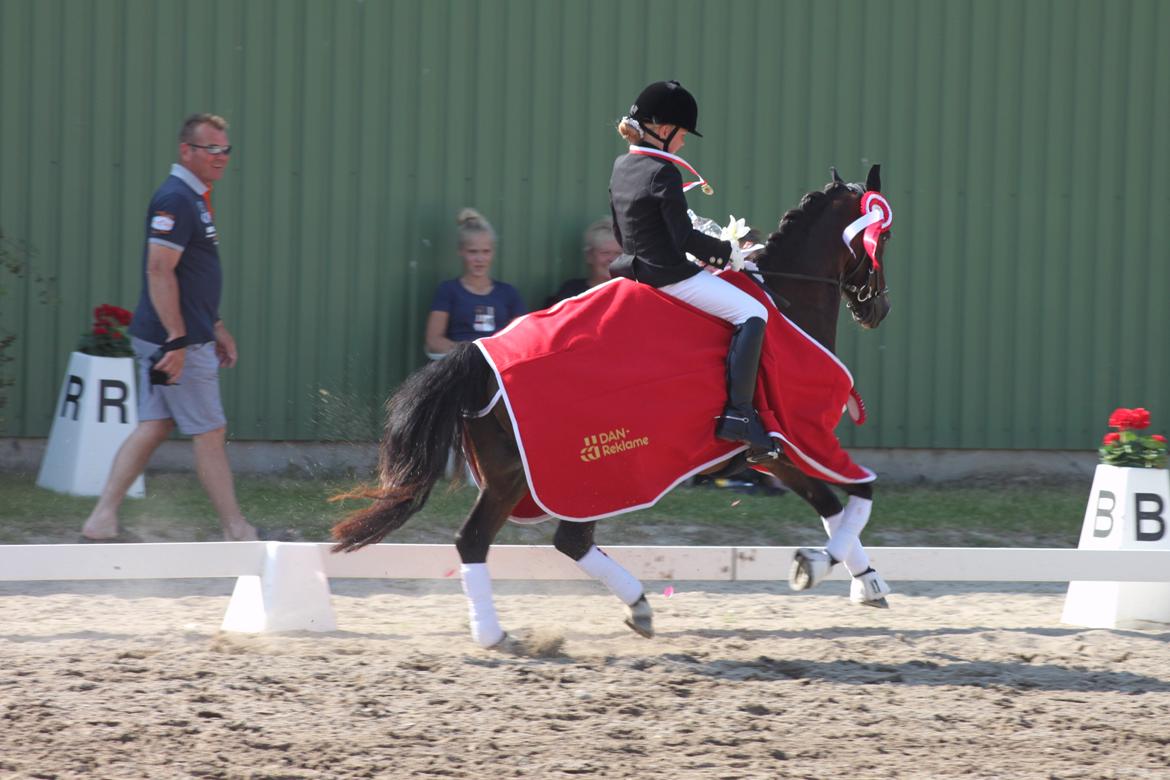 Anden særlig race Mr. Quickly B-pony - Distrikts mester 2012 kat 3 pony indv. :D   billede 14