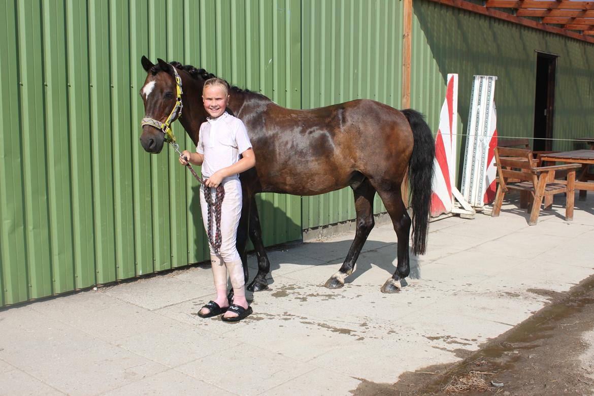 Anden særlig race Mr. Quickly B-pony - Sådan ser man ud når man har vundet et mesterskab, først skylles så rulles også blev hun skyllet igen ;)  billede 19