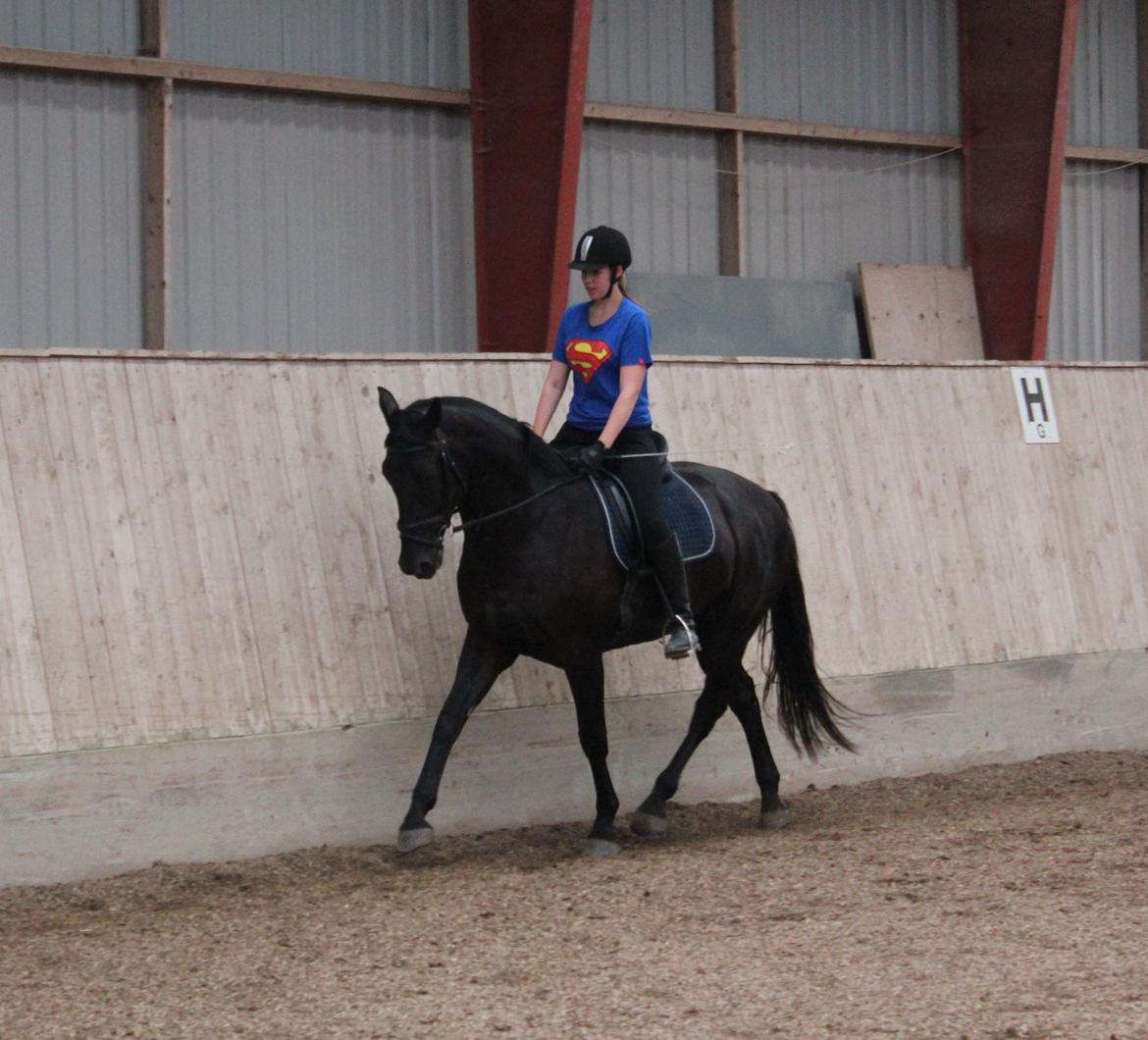 Oldenborg Sorél af Dano billede 15