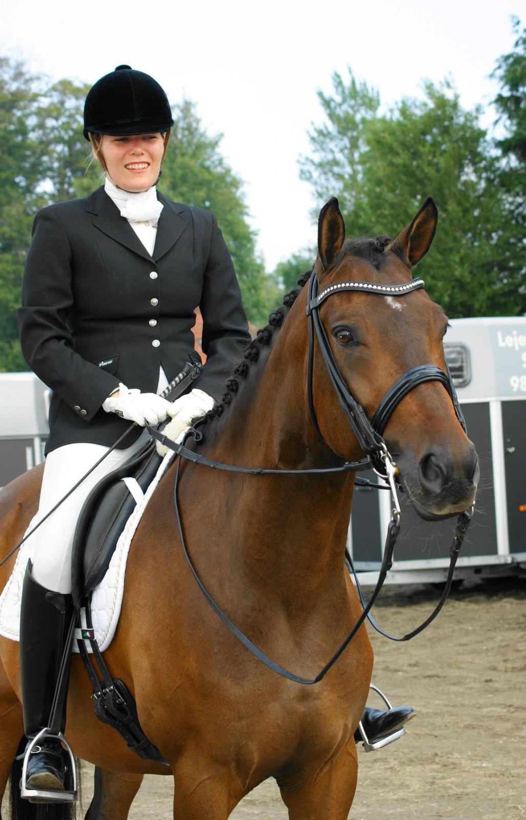 Trakehner Burberry - Klar til Ranglisteshow 2012, placeret som nr. 4 - August 2012 billede 2