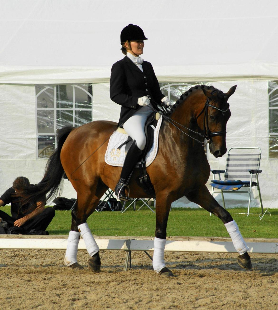 Trakehner Burberry - Ranglisteshow 2012 på Broholm - August 2012 billede 11