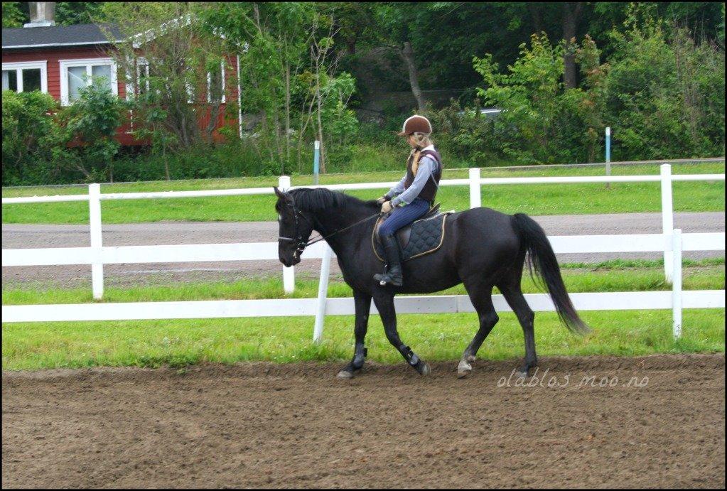 Anden særlig race Diablo - Diablo i Norge, med en af hans ryttere. Savner ham utroligt meget!! billede 20