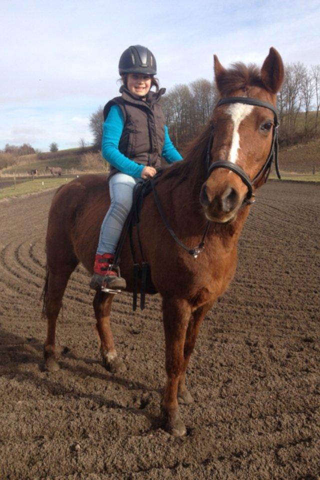 DSP Cherry Cheval billede 5