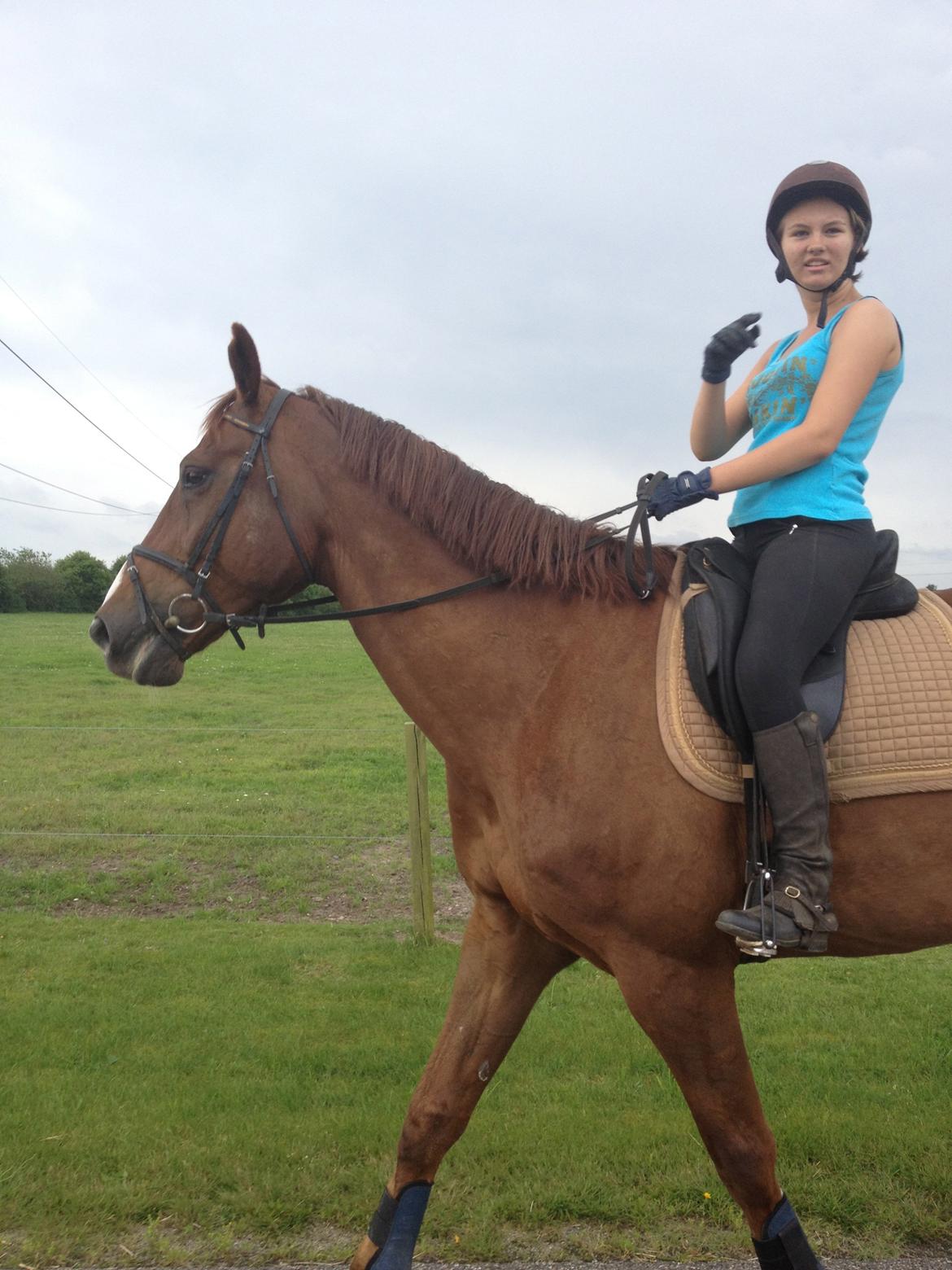 Hollandsk Varmblod Vincent B (Posen) - på tur :)  billede 12