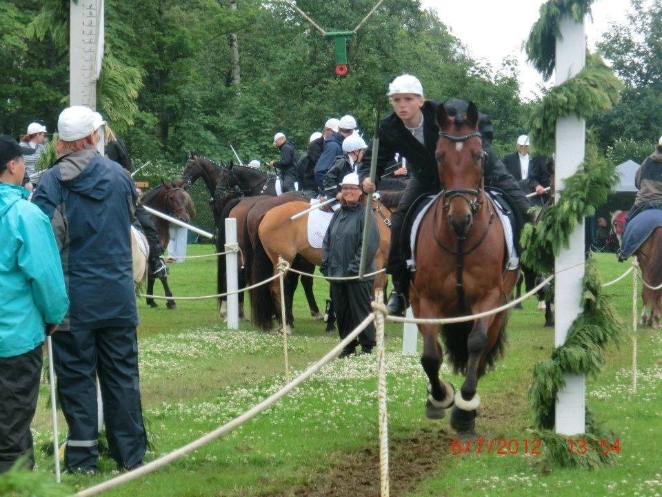 Connemara Hesselholts Rebel Queen billede 18