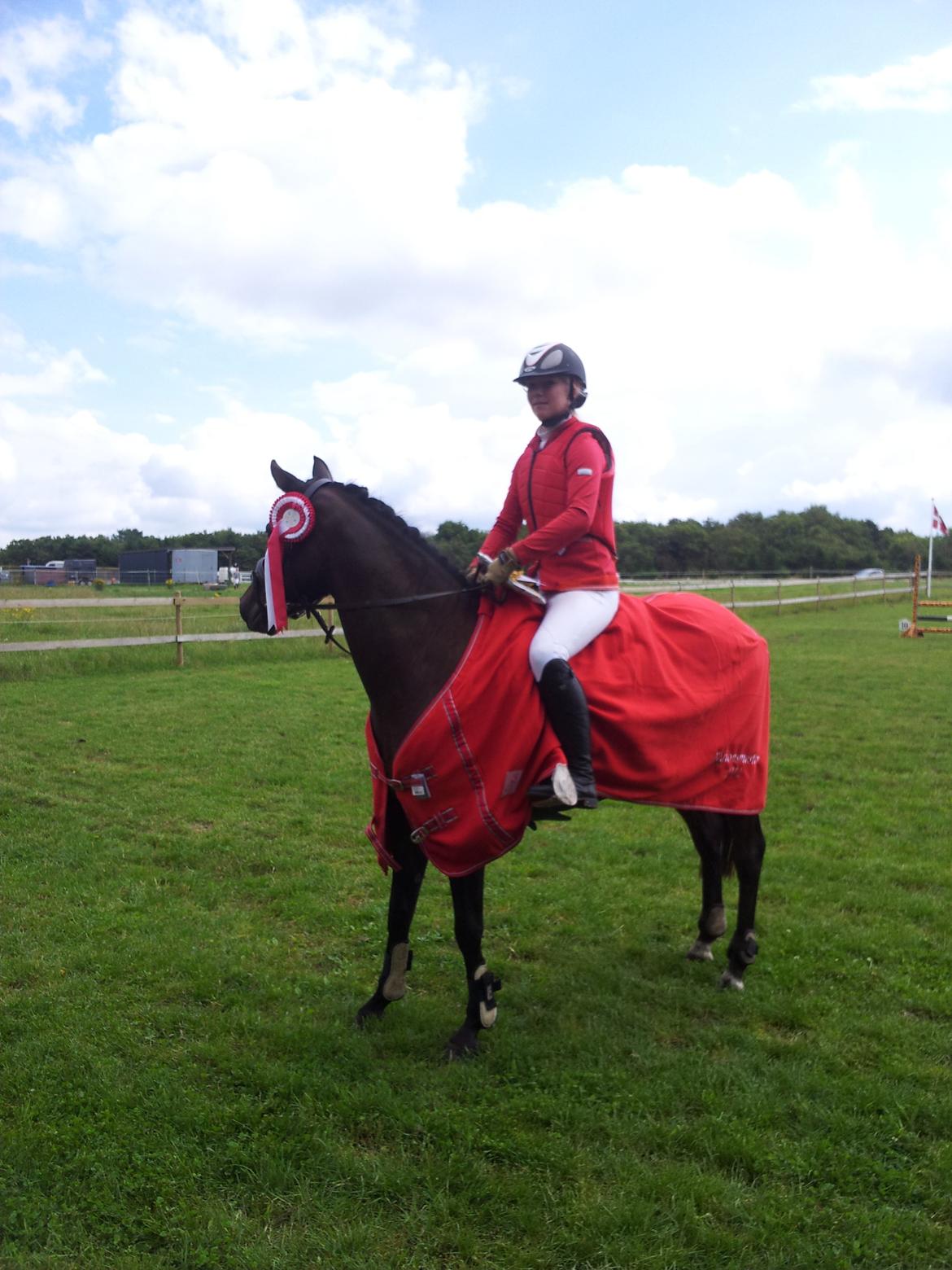 DSP Day-lights naomi - Regionsmester:)
Betyder noget da det var kort efter styrtet;)
og var bare glad for hun tog det så flot;) billede 29