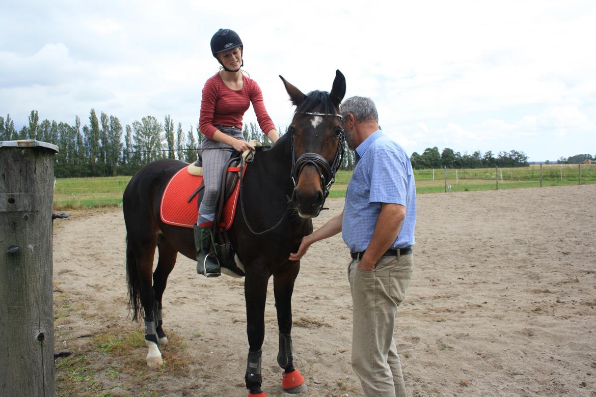 Westfaler Dolce Vita - Vita:"Jaaa, det her er så min familie!" :-P billede 16