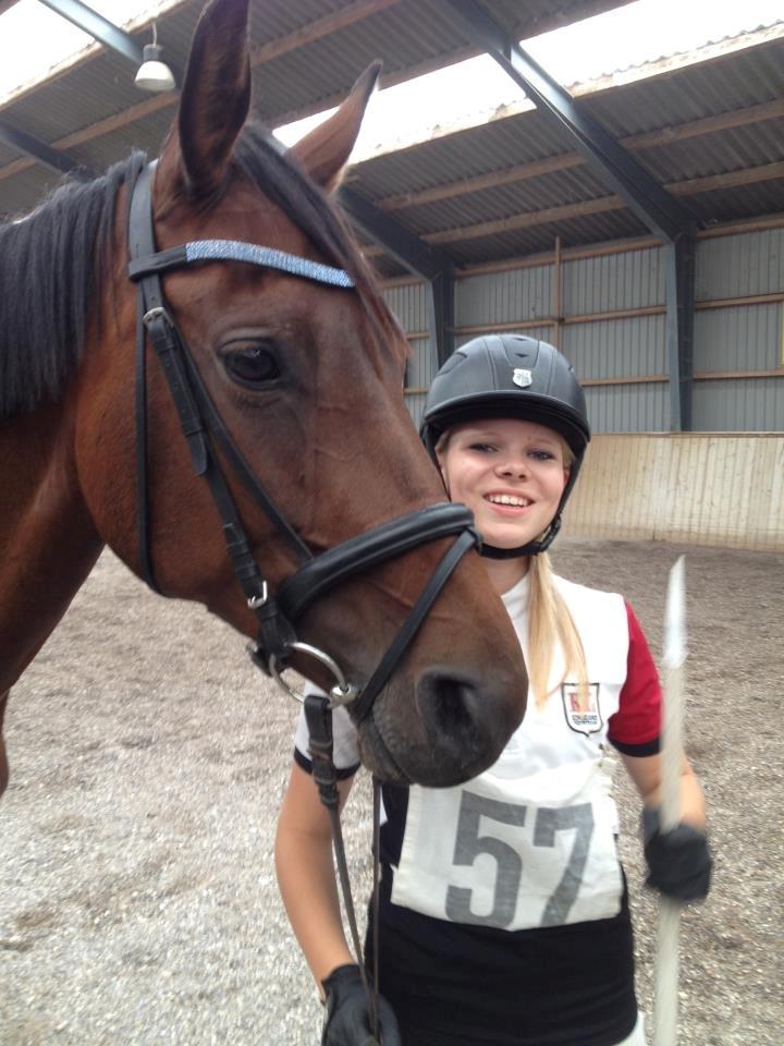 Dansk Varmblod - Fairline billede 10