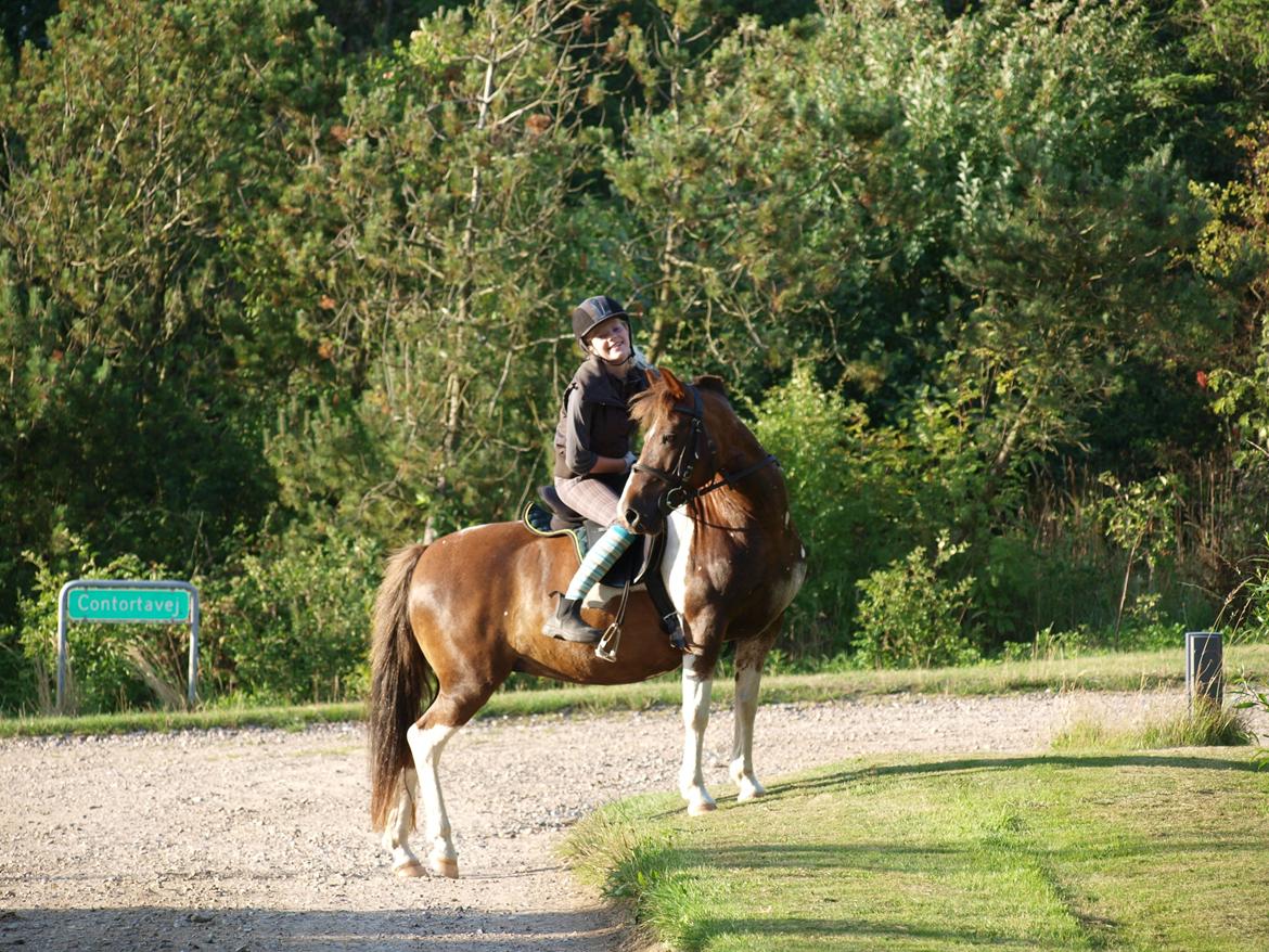 Anden særlig race Sally billede 11