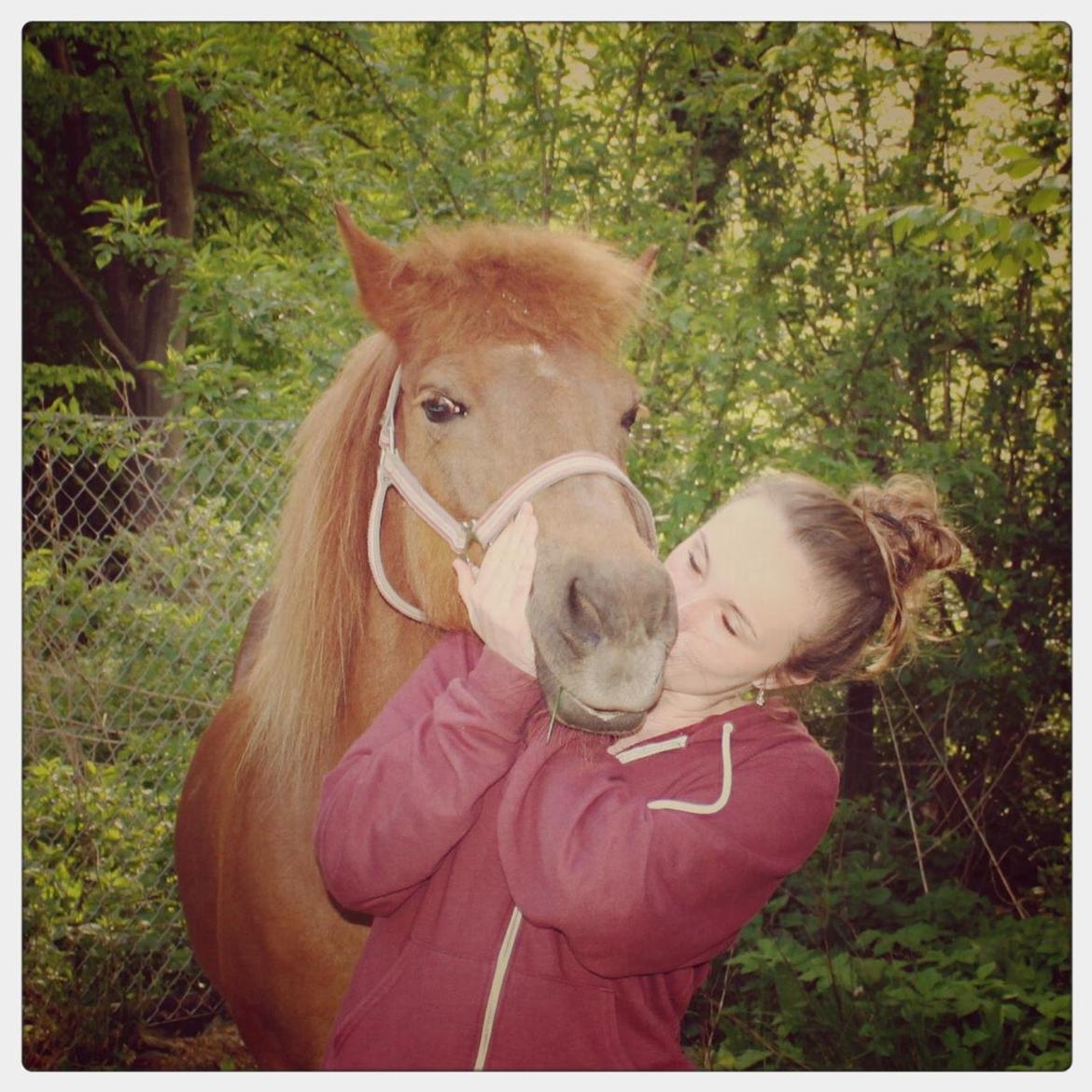 Islænder Vigdis fra Grastenhus - "Venner er engle, som hjælper os op, når vores vinger har glemt hvordan de skal flyve." - Vigdis ligemeget hvor du er, vil du altid være min bedste ven! ♥♥♥♥♥♥♥ billede 20