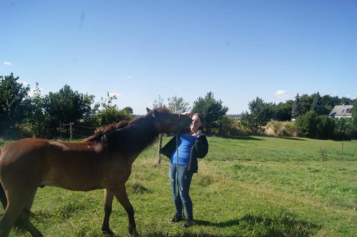 Gotlandsruss Gabriel Gross billede 19