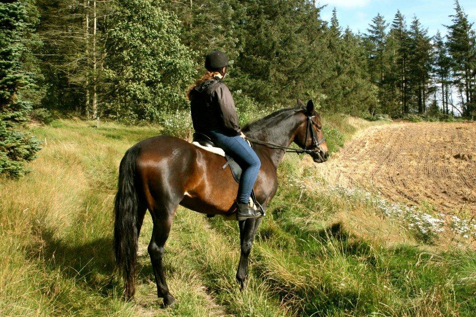 DSP Chanel - <3 billede 2