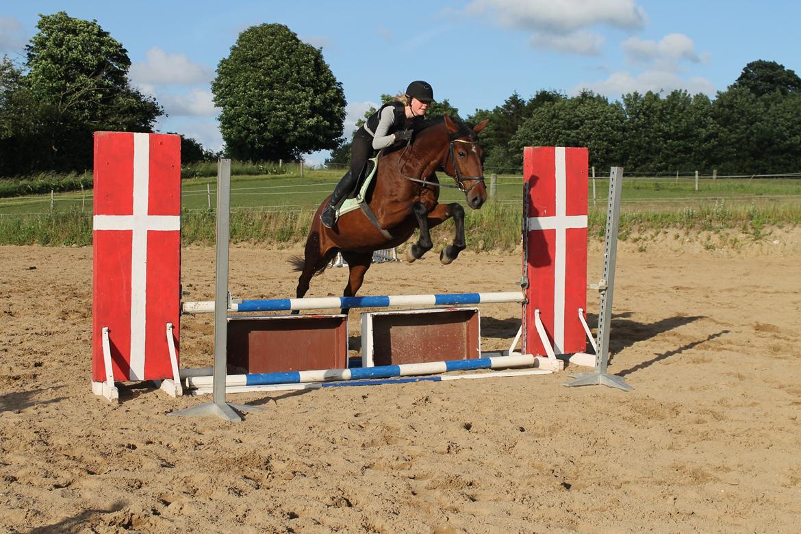 Anden særlig race Gavnbogaards Sofia billede 3