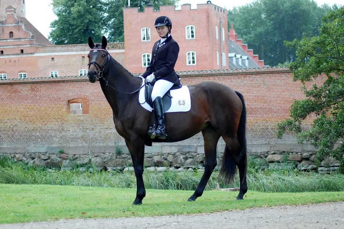 Trakehner Turned Up At Noon - Elitestævne på Broholm - LA5 til 62,66% (6 års championatfinale)  billede 1