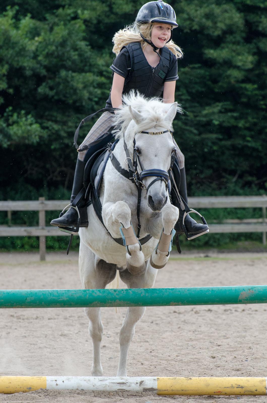 Welsh Pony (sec B) Fjordager Demsy billede 18