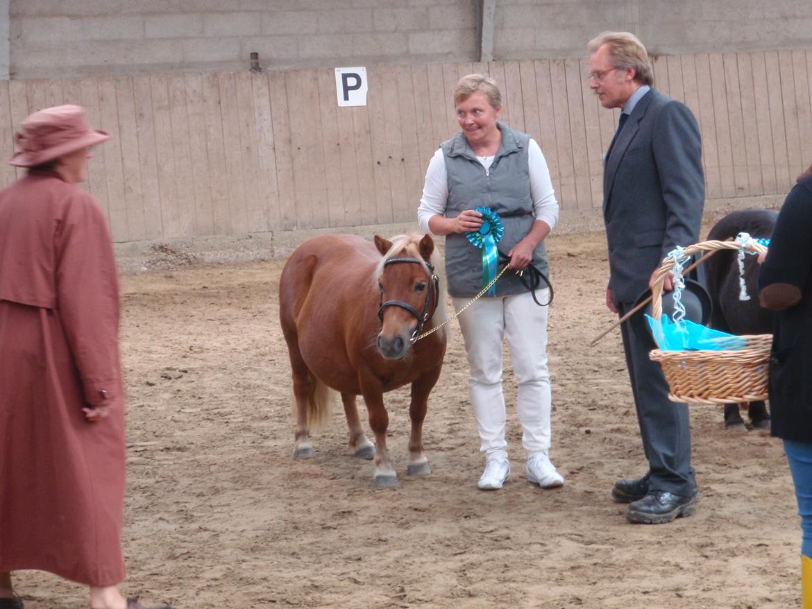 Shetlænder Nanja af rolighed - Sommershow 2012 - 40 point. <3 billede 14