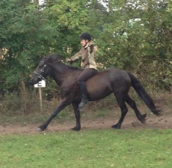 Fell pony Bakkely's Bella *Prinsessen* SOLGT:'( - Because I trust you!!<3 billede 16