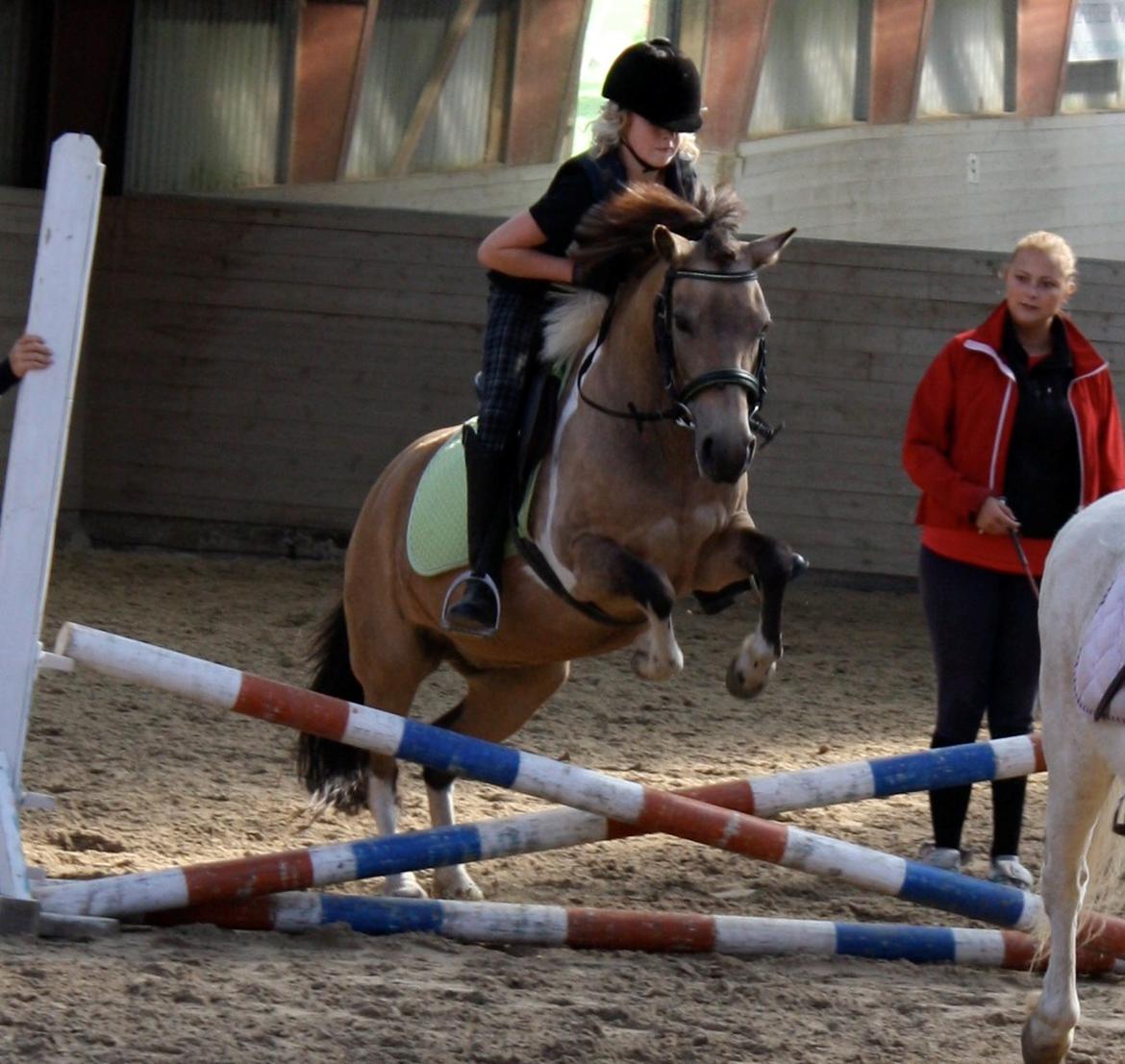 Anden særlig race Bonni - Vores første spring sammen! billede 10