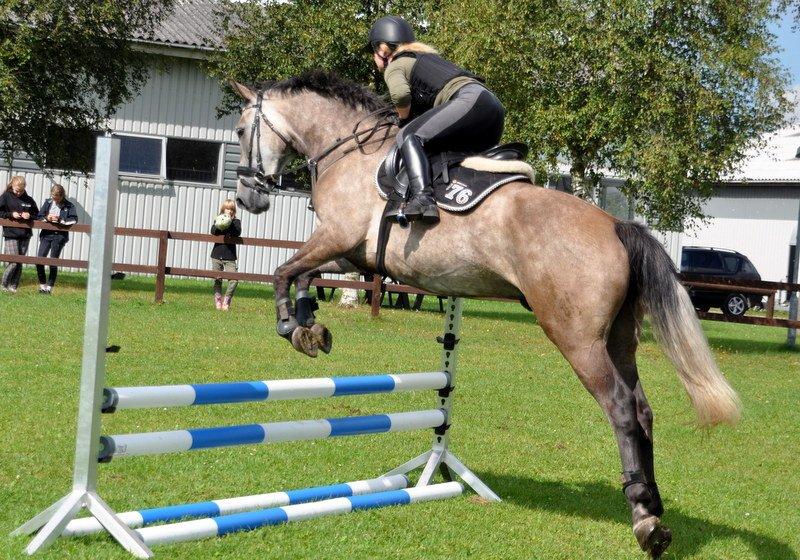 Anden særlig race Hegnsholts Felix - Spring d. 26.08.12 billede 12