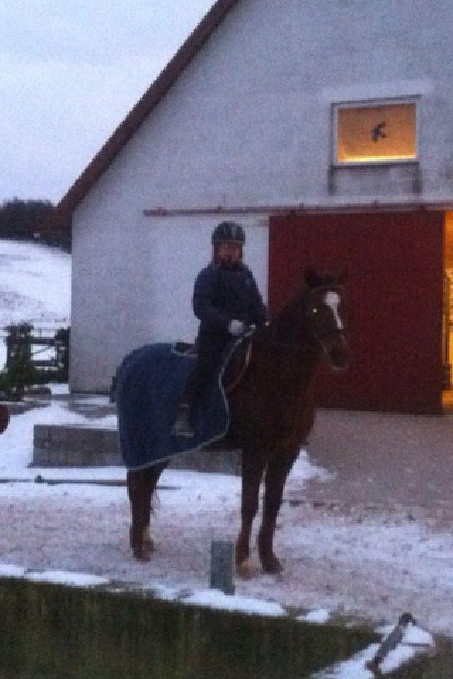 DSP Cherry Cheval billede 12