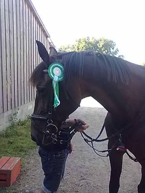 Traver Godiva pride<3 R.I.P ;( billede 3