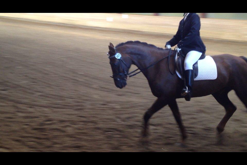 Anden særlig race Malibu<3 - stævne 2. plads<3 billede 12